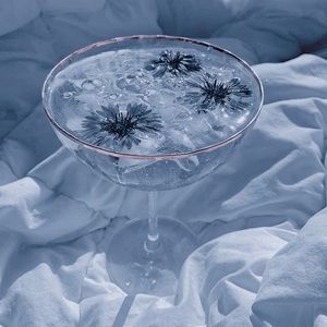 Meet your Posher, Za'riah